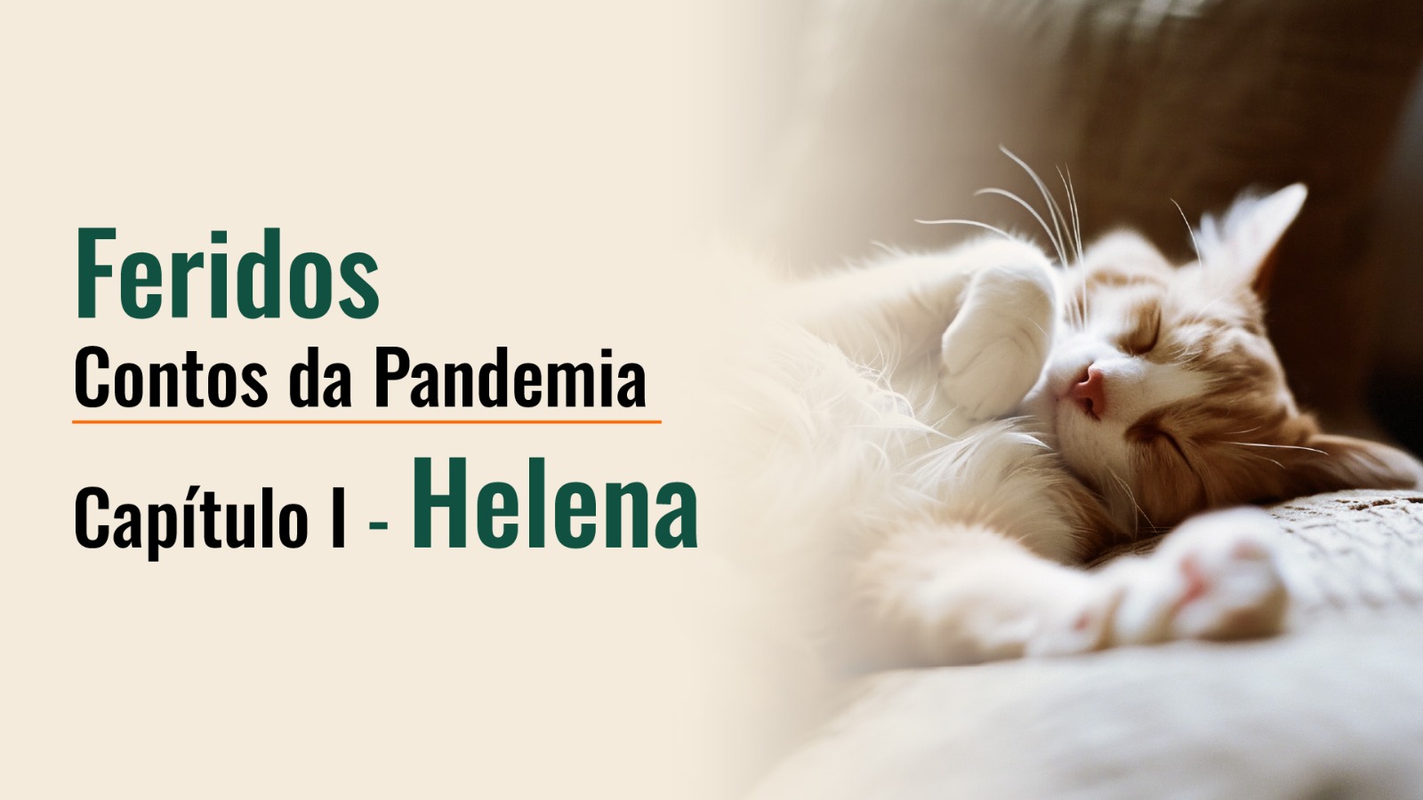 Cartão editorial de Feridos, primeiro capítulo de Contos da Pandemia, com um gato deitado à direita.