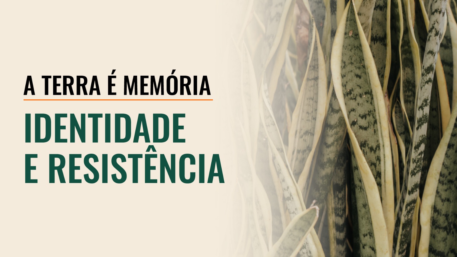 Cartão editorial com as frases Identidade e resistência e A terra é memória, acompanhado por folhas verdes.