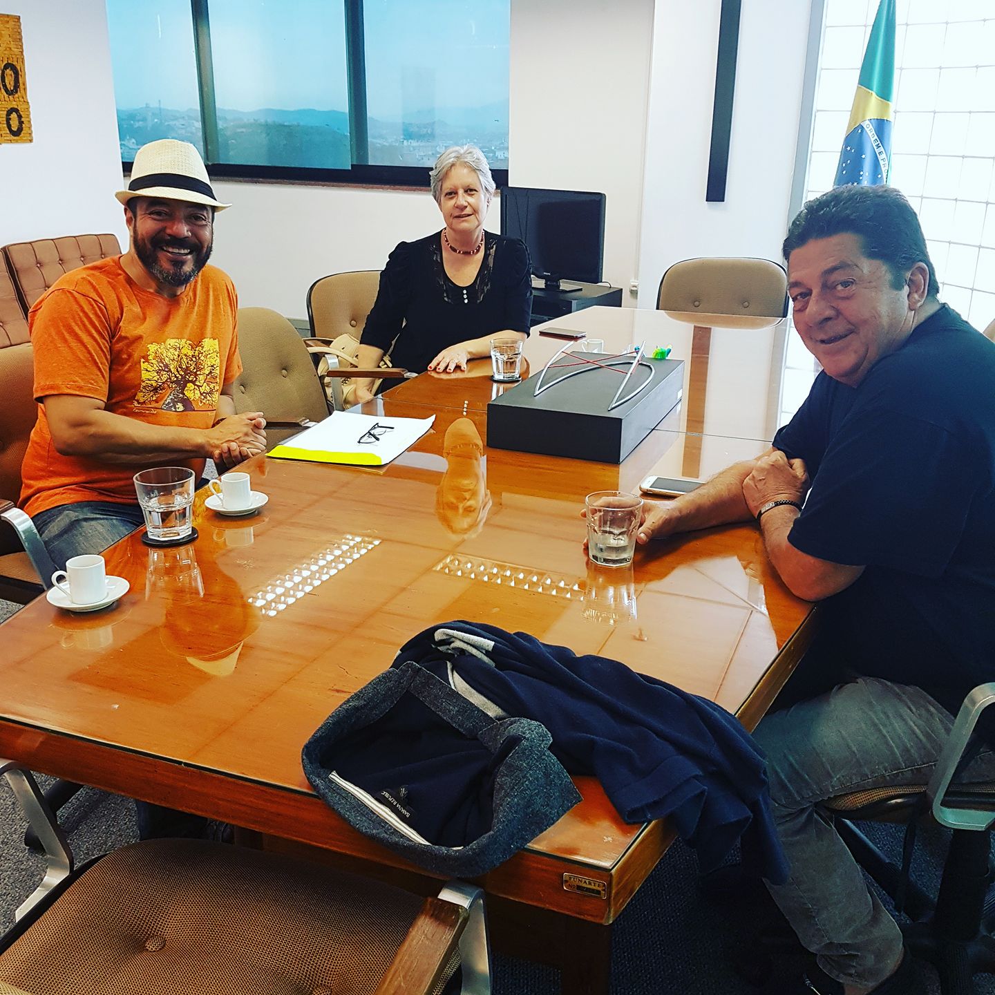 Público sentado acompanha uma reunião ou atividade de representação em espaço institucional.