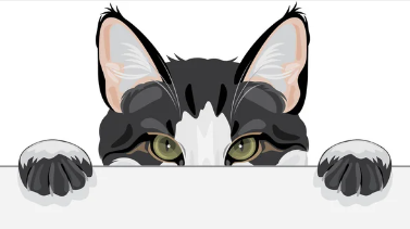 Ilustração de um gato preto e branco espiando por trás de uma borda, com olhos e patas aparentes